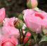 Large 54c606fb 3612 4076 875e 9c976f0b5a76 - Vsluh.Ru