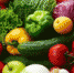 Тюменцы смогут купить продукцию местных производителей на ярмарке - Mir72.Ru