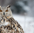 blogspot.com - Newsprom.Ru