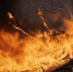 pixabay.com - Newsprom.Ru
