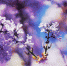 Large f1b66181 ef3f 4576 87a4 8ad8cb361162 - Vsluh.Ru