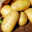 pixabay.com - Newsprom.Ru
