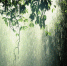 Large 46323334 74a9 42eb 93f2 15a638eb4b7b - Vsluh.Ru
