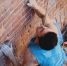 Large 993db732 e5ae 48ea a2c6 2f5cd7c30287 - Vsluh.Ru