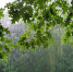 Large 135603f7 670a 4412 9d10 46366e0a7e7f - Vsluh.Ru