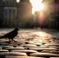 Large 65f37103 4a08 4971 928a 66ce5513f1b4 - Vsluh.Ru