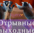 Афиша: 5 ВАУ-поводов провести выходные в Тюмени зрелищно - Tumix.Ru