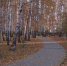 newsprom.ru - Newsprom.Ru
