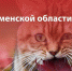 Large 6c67ef08 dd39 4a02 94eb 93c832799b48 - Vsluh.Ru