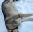 Large 722a7424 4535 4e80 b498 b49530f79d4c - Vsluh.Ru