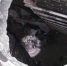 Large eb5bdf06 7238 47bd 8bec 70b4a8c016a3 - Vsluh.Ru