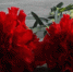 Large 484d6cee 5e8f 49f7 98f5 f39a4d843c90 - Vsluh.Ru