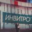 Large 55cbd2df 6d0c 4ea2 8fd5 c224154f1374 - Vsluh.Ru