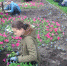 G0iluFFi_FM.jpg - ТГЛТ