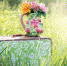 pp.userapi.com - Newsprom.Ru