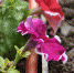 i.ytimg.com - Newsprom.Ru