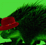 Large 3232c534 9047 4256 af14 e61ea00ad060 - Vsluh.Ru