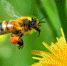 Large 21247782 1120 4ed0 8a37 f65db9bcedf8 - Vsluh.Ru