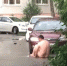 В Тюмени голый мужчина сидел на крыше автомобиля и плескался в луже - Tumix.Ru