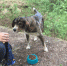 Large 601aa53a f8da 4b18 8e83 0e93837f1b29 - Vsluh.Ru