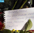 Люди со всего города несут цветы и записки к месту трагедии. Фото: Inside Donetsk - KP.Ru
