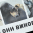 Large eff70187 175b 46cf 94bc 5f5254984954 - Vsluh.Ru