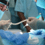 Large 6337cc4b 1177 474b 9df3 d4b58229a1cd - Vsluh.Ru