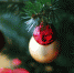 pixabay.com - Newsprom.Ru