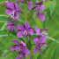 Large 18cc8ab7 184d 481f 9d37 bba69dd53c40 - Vsluh.Ru