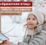организаторов флешмоба "Хранители птиц" - ИА Тюменская линия