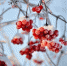 Large c09aa29a 73ee 42c1 96e7 b54b85b304b3 - Vsluh.Ru