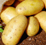 pixabay.com - Newsprom.Ru