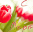 Large 6008ab5d 6a9e 4d61 a7a2 570d33b29da3 - Vsluh.Ru