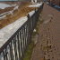Large 48bbb2e6 b8dd 49b3 9b80 d8e8434cc8d5 - Vsluh.Ru