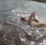 Large 1b99c13c dbff 4a92 8be2 d75e435adb87 - Vsluh.Ru