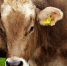 pixabay.com - Newsprom.Ru