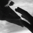 Large 52bc9822 f8d9 4662 b438 f75a91d28151 - Vsluh.Ru