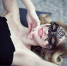 Large 94e7af1d f497 471e 8a96 c687f2f7ef6a - Vsluh.Ru
