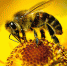 Large a31f1aa0 03b2 4b66 8848 b6522df06175 - Vsluh.Ru