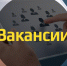 Центр занятости населения Тюмени и Тюменского района - ИА Тюменская линия
