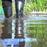 Large 7ec496a9 7572 4038 a04b 7f2827231c16 - Vsluh.Ru