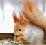 Large 88c9fcb1 3382 4d22 9f56 03a70c691620 - Vsluh.Ru