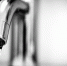 pixabay.com - Newsprom.Ru