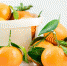 pixabay.com - Newsprom.Ru