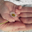 pixabay.com - Newsprom.Ru