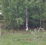 У подножия террасы, где расположено городище Лучкино. - TyuMedia.Ru