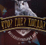 Команда тюменца Ивана Жаркевича вышла в финал «Что? Где? Когда?» - Тюменская область сегодня