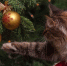 pixabay.com - Newsprom.Ru