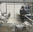Источник фото: "Тюмень - наш дом" - Newsprom.Ru