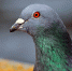 Фото: pixabay.com - Newsprom.Ru